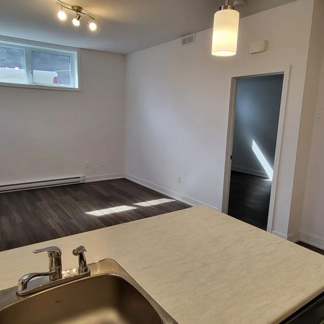 Halfred | Apartment rentals maison for rent in Gatineau: 1 bedrooms, 90 Rue Du Campagnard